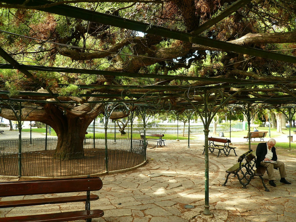 Principe Real district