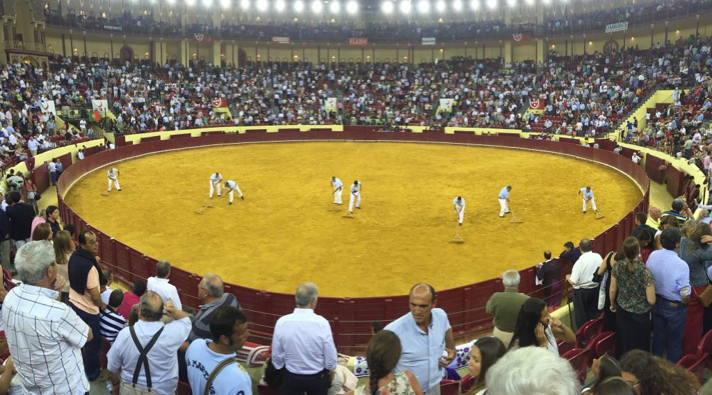bullfight campo pequeno lisbon