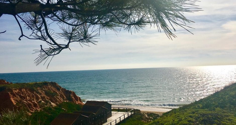 beach albufeira algarve