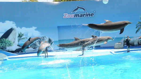 zoomarine albufeira portugal