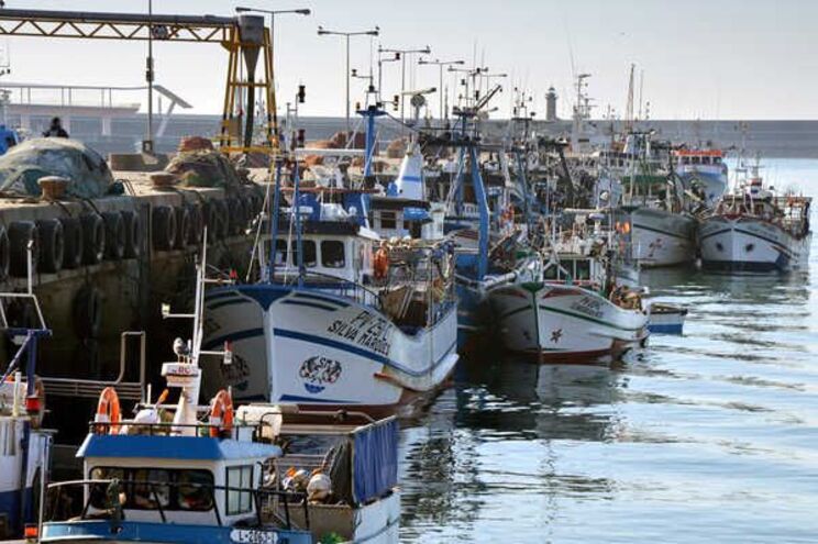 Fishing port of Matosinhos