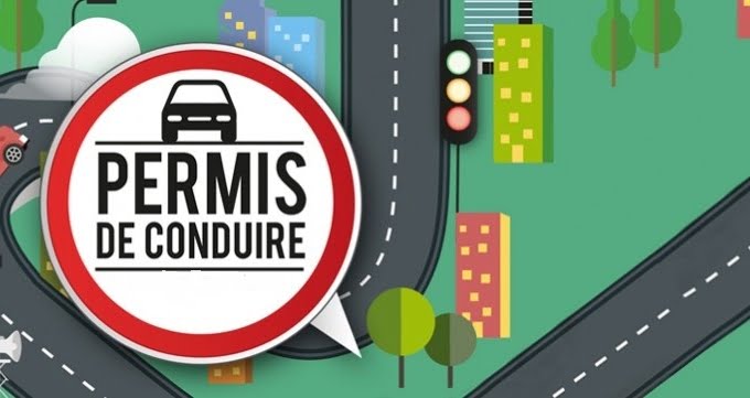 portugal driving licence in english