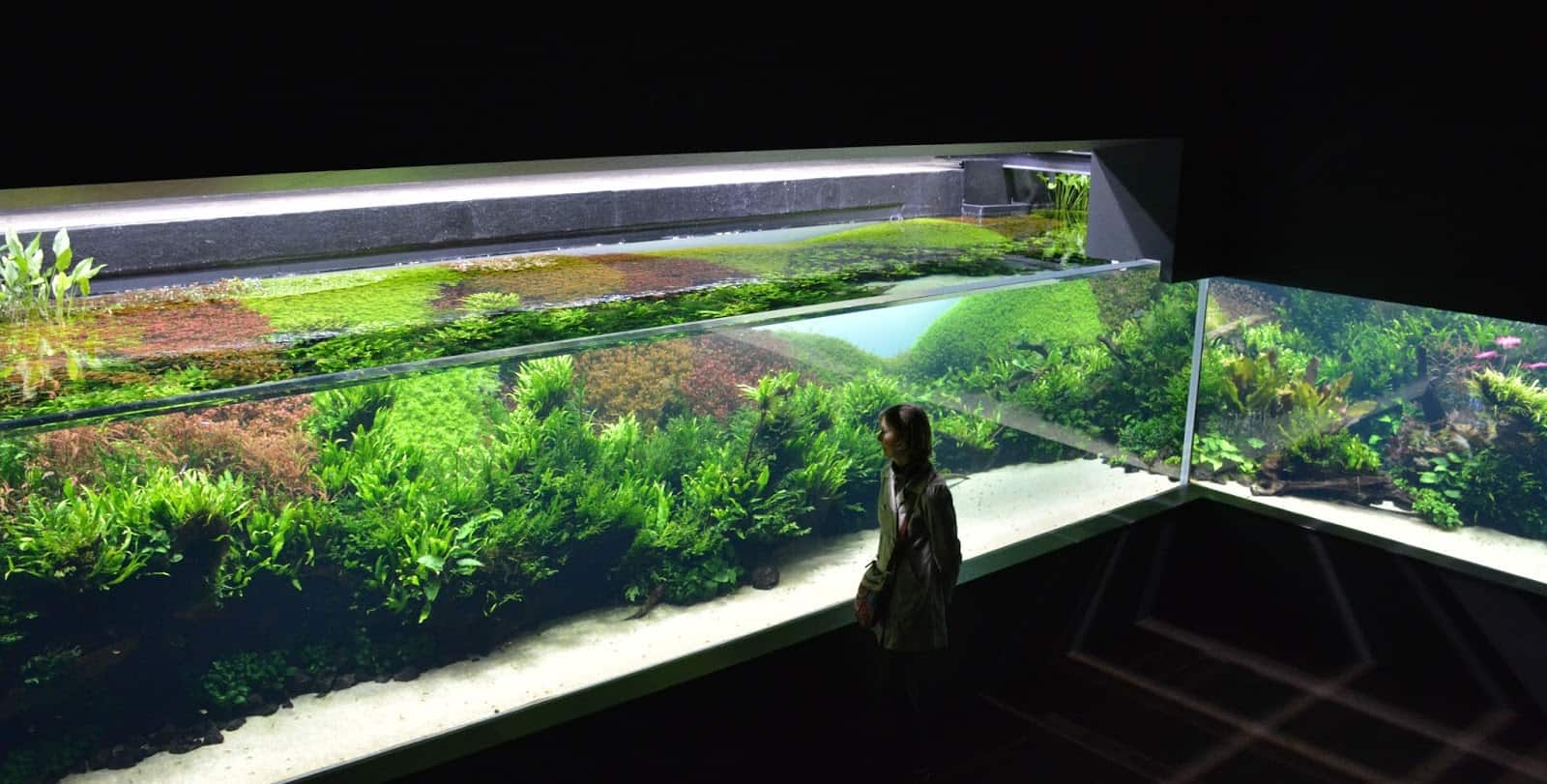 Exposition temporaire oceanarium lisbonne