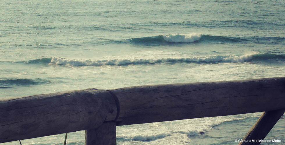 Surf Ericeira Sao Lourenco