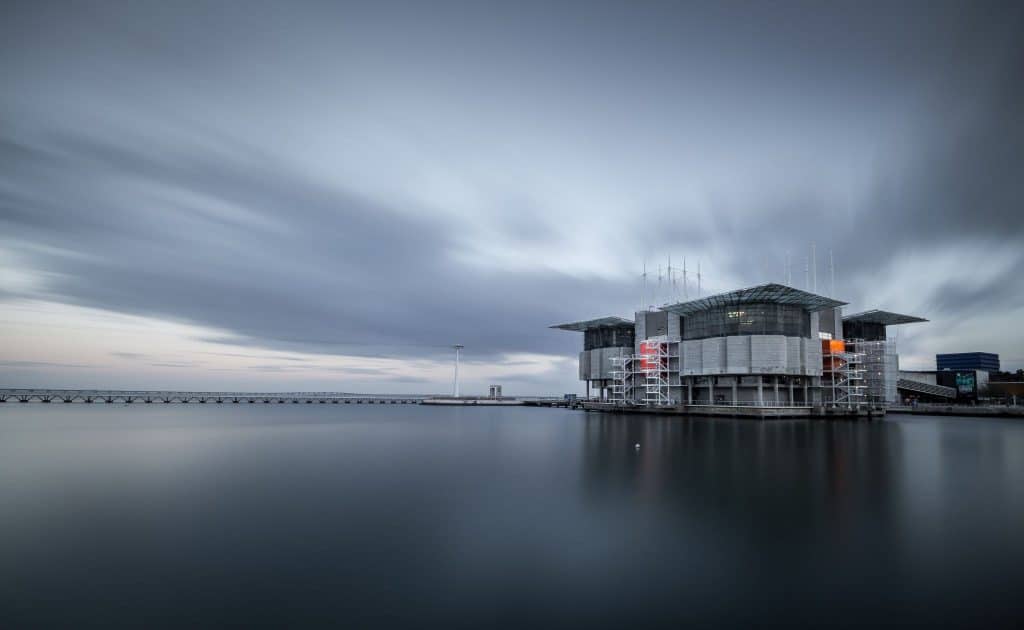 visiter l'aquarium de Lisbonne en famille