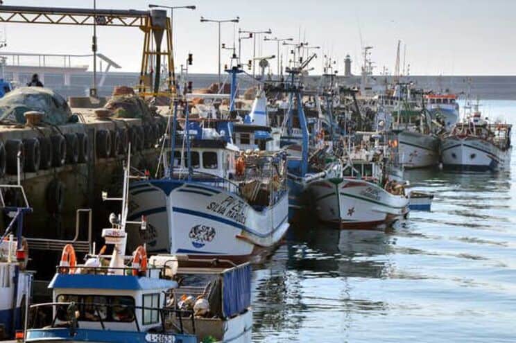 Port de peche de Matosinhos