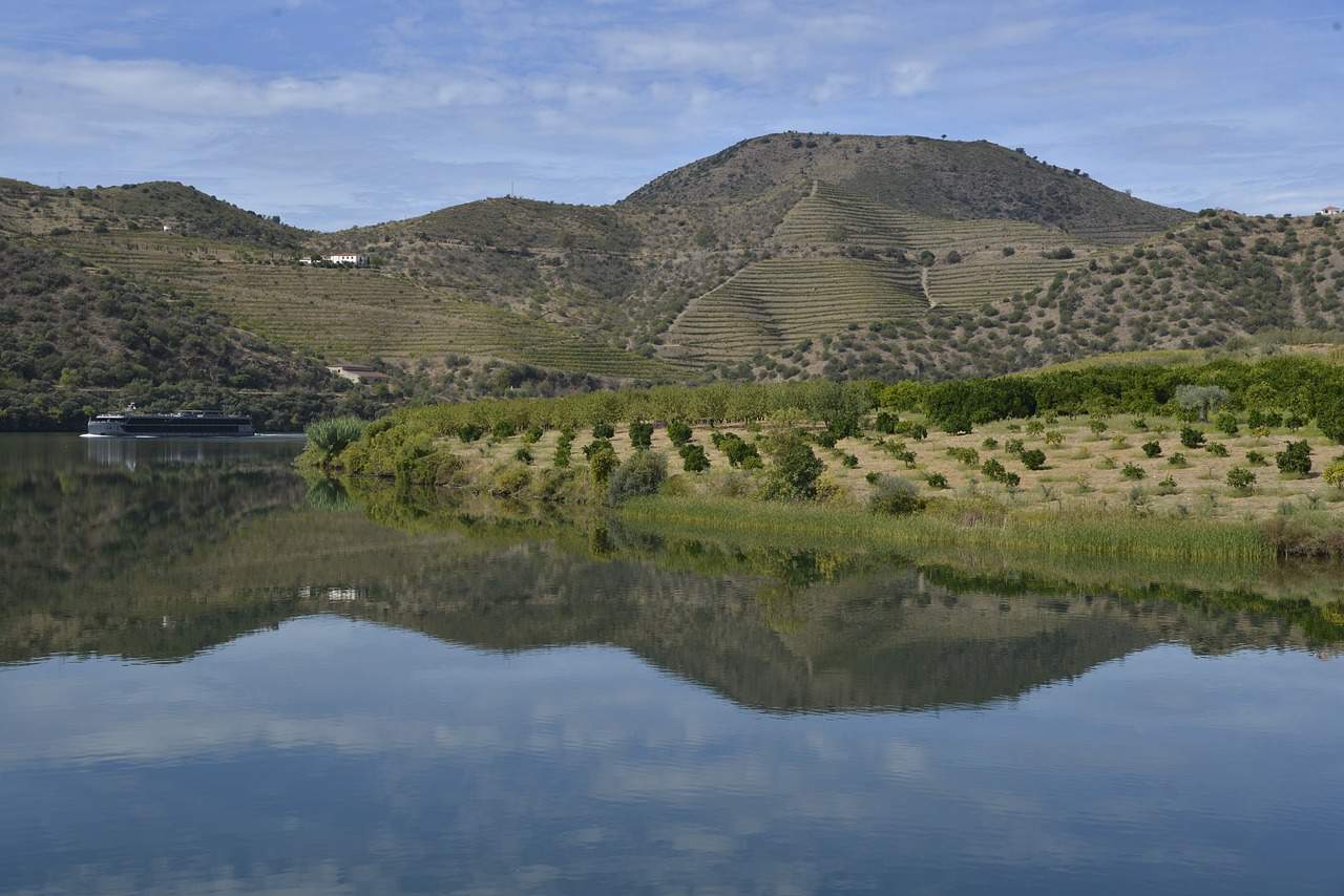 Vallee du Douro dans le Nord du Portugal