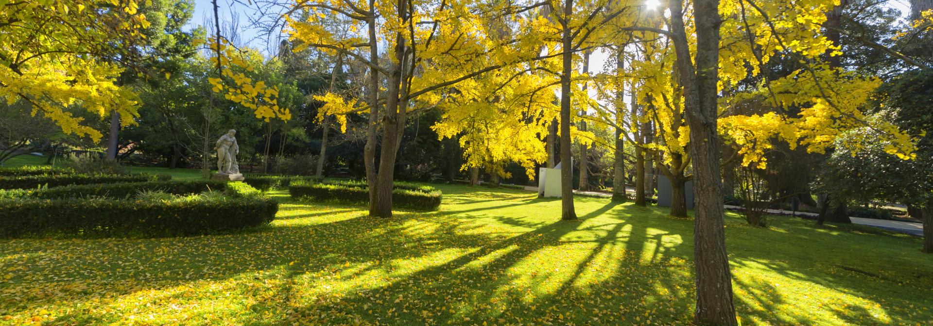 jardin botannique Lisbonne